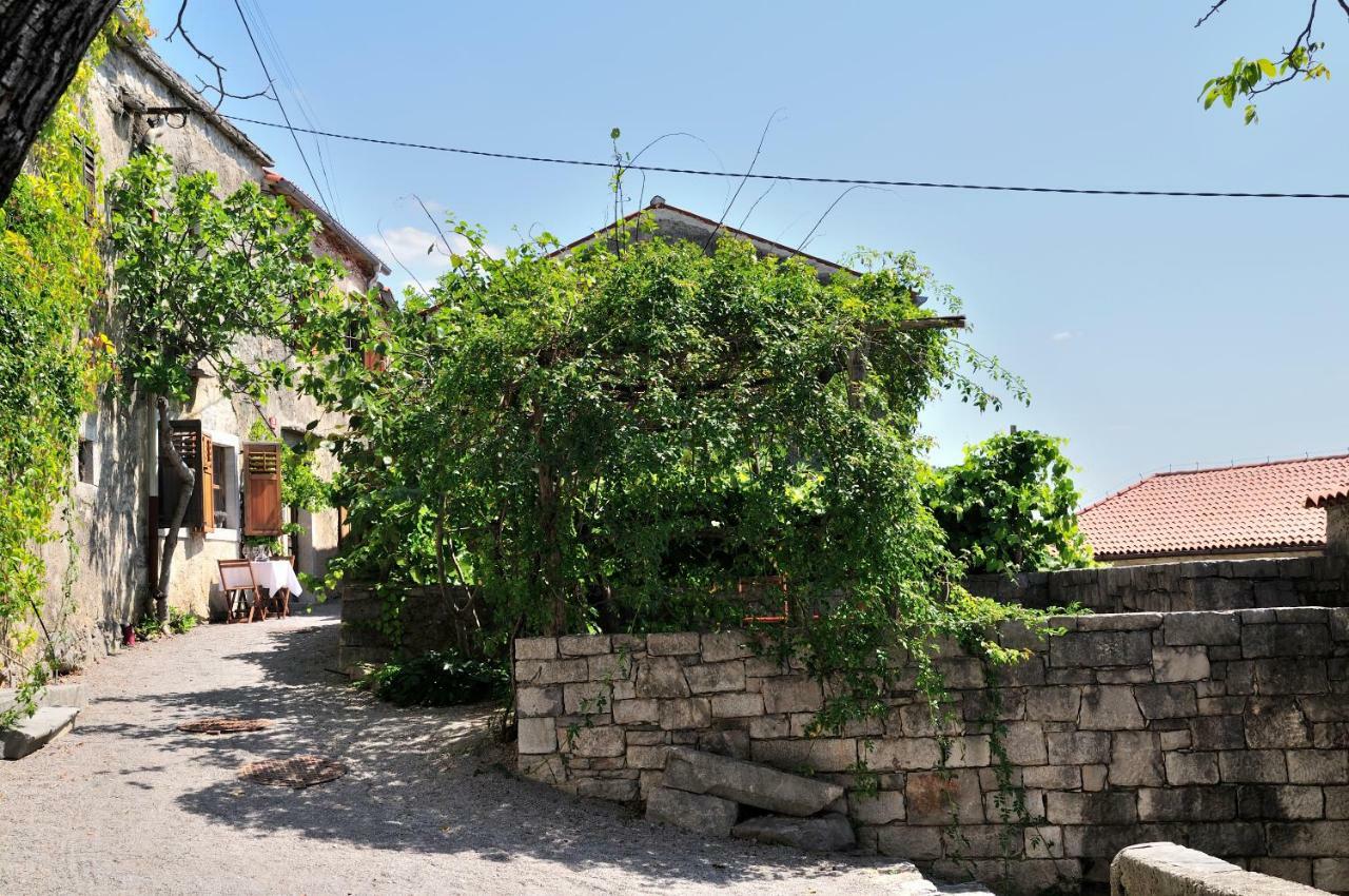 Blackbird House Stanjel Historic Center 外观 照片
